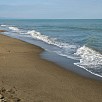 Foto: Vista  - Spiaggia Libera  (Capalbio) - 5